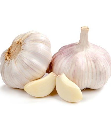 Garlic