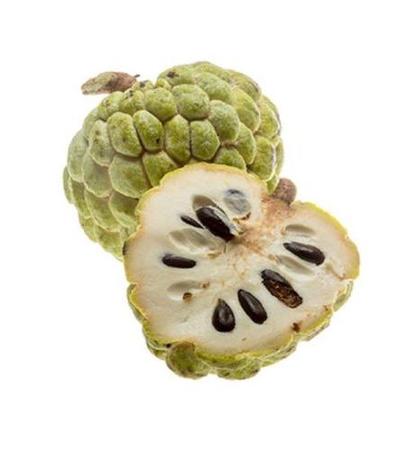 Custard Apple